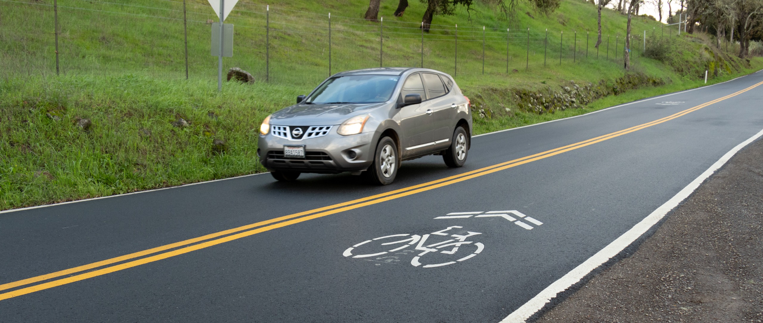 Bike Route (Class III)